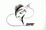 SFE Kites