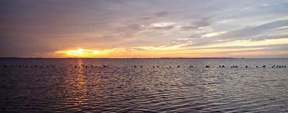 Sunrise over a decoy spread on the bay
